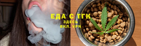 индика Краснотурьинск