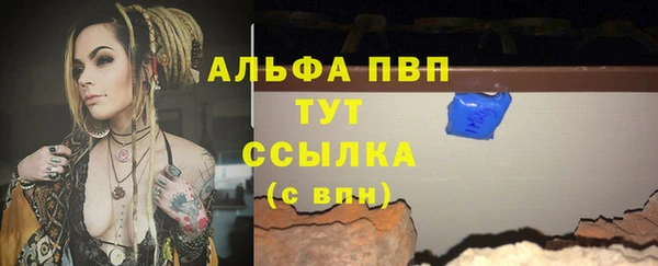 индика Краснотурьинск