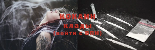 индика Краснотурьинск