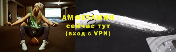 индика Краснотурьинск