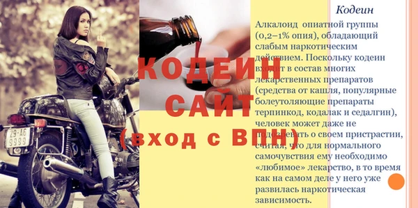 индика Краснотурьинск