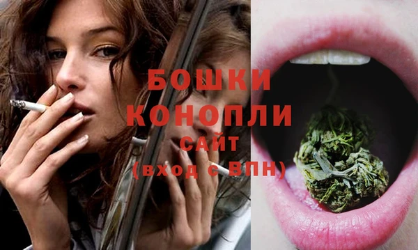индика Краснотурьинск