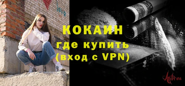 индика Краснотурьинск
