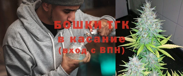 индика Краснотурьинск