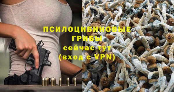 индика Краснотурьинск