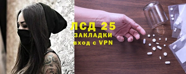 индика Краснотурьинск
