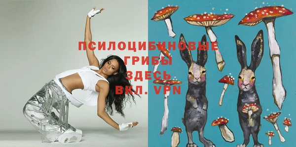 индика Краснотурьинск